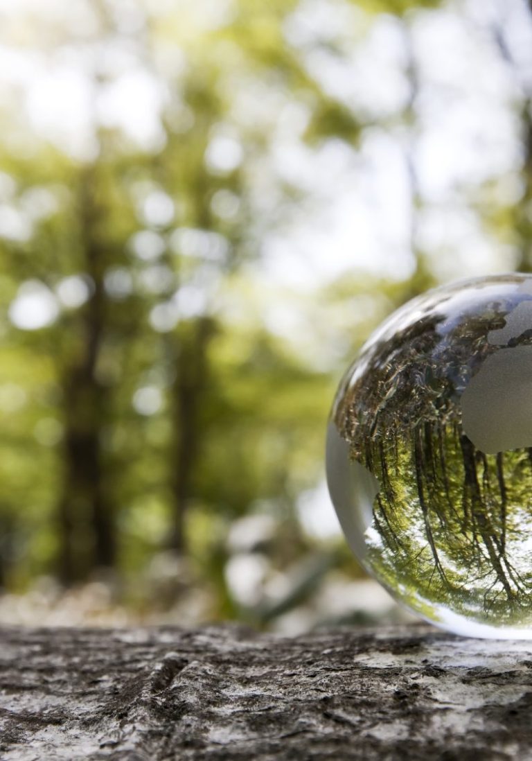 Glaskugel auf einem Baumstumpf, spiegelt Bäume und das Licht der Natur wider.